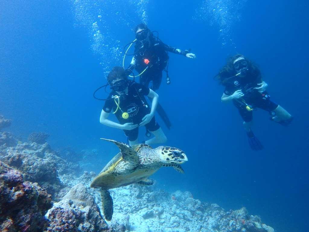 Furaveri Island Resort And Spa Muravandhoo المرافق الصورة